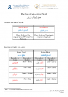 15 Sound Masc Plural